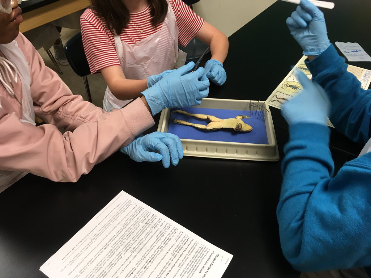 burnhamhand's tweet photo. #scienceishappening #Handscience https://t.co/RGTDbzJJwN