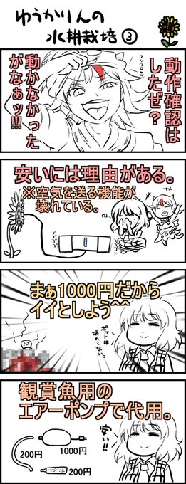 水耕栽培記録③^^ 