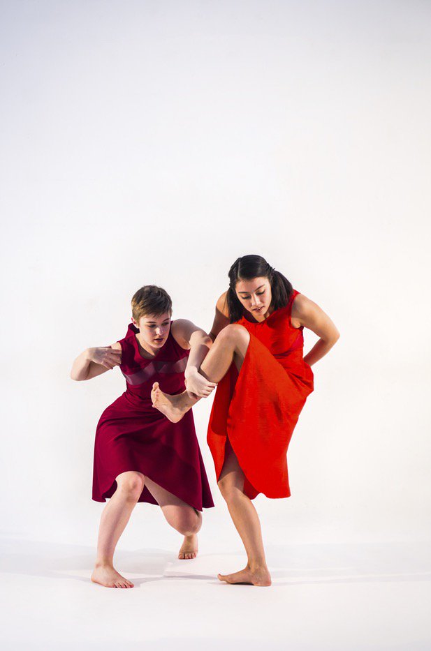 INTOTO Dance tweet media