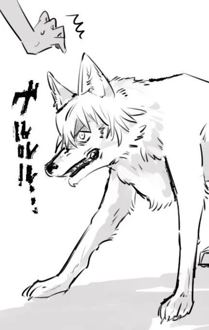 鬼気迫る犬 
