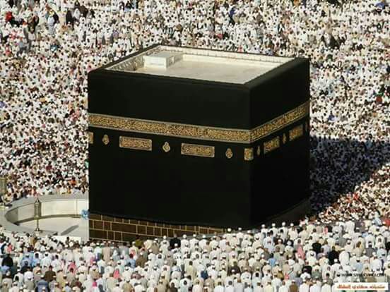 Eng-Waad Alamro tweet media