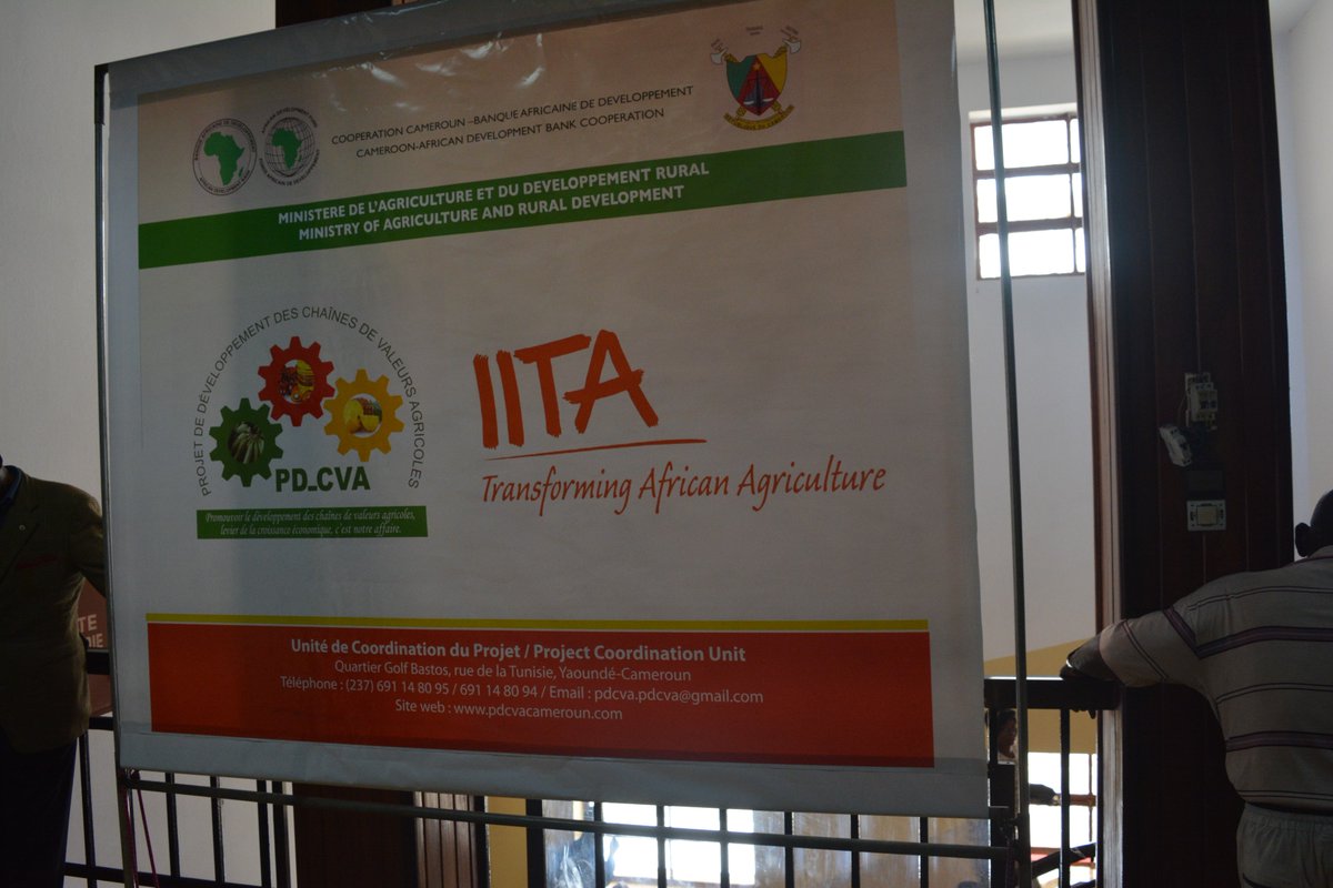 IITA_CGIAR's tweet photo. Happening now in Yaoundé, Cameroon: Signing ceremony of the agreement between Ministry of Agriculture and Rural Development (MINADER) and IITA for the development of youth entrepreneurship in Agribusiness. #EnableYouth #YouthInAgriBusiness https://t.co/6tgNeTCoQZ