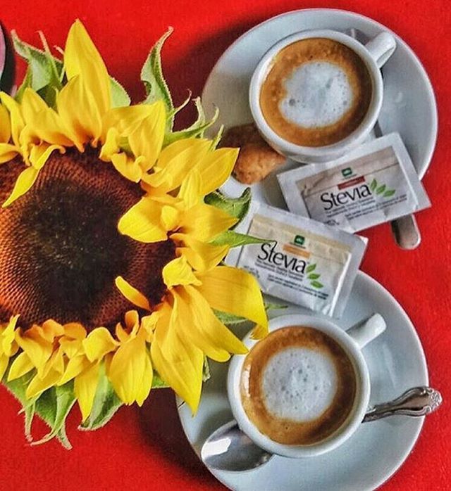 cidbotanicals's tweet photo. Sweeten your morning without any of the bad stuff 😋☕️ https://t.co/GhgrqMwhUx https://t.co/rzbbiC0rr4