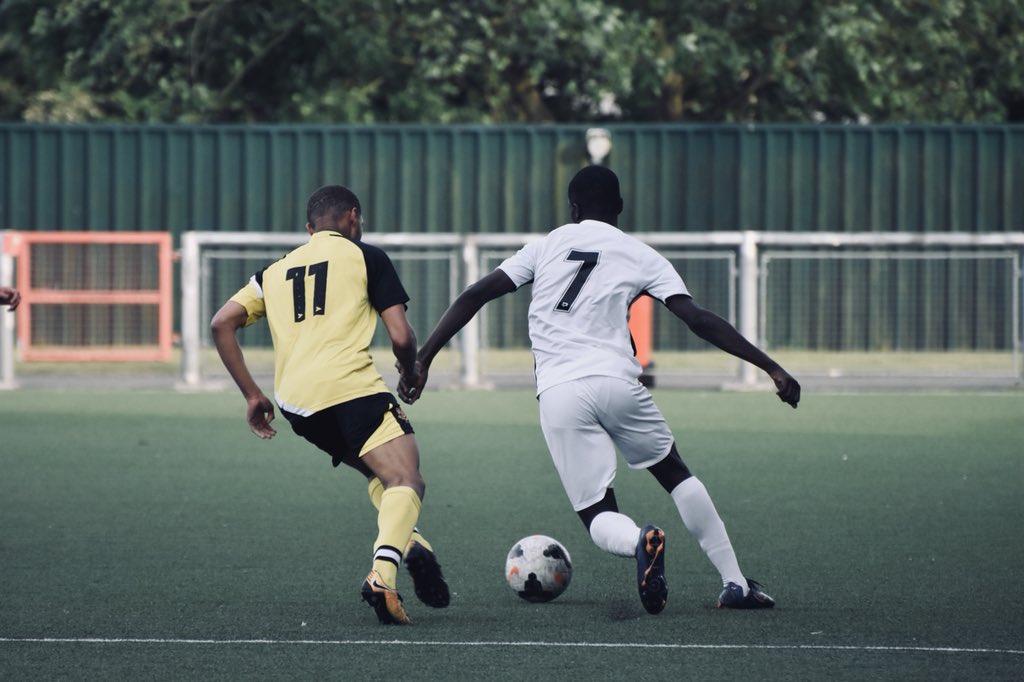 Pro Direct Academy tweet media