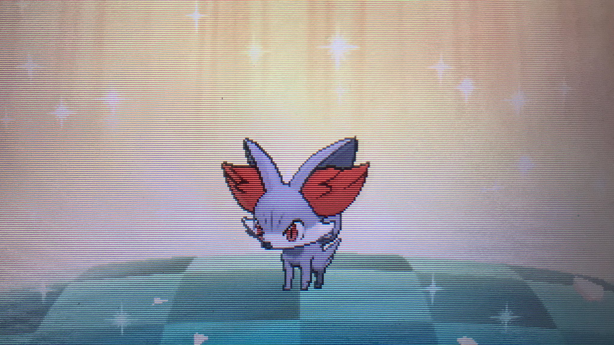 تويتر かるぴす所長 على تويتر 色フォッコ爆誕 色フォッコってすごい可愛いですよね 大人な色合いで W この子は ってのが少しだけ残念だけど テールナーで使う予定です ポケモン好きと繋がりたい ポケモン色違い T Co Tkamsgmccd