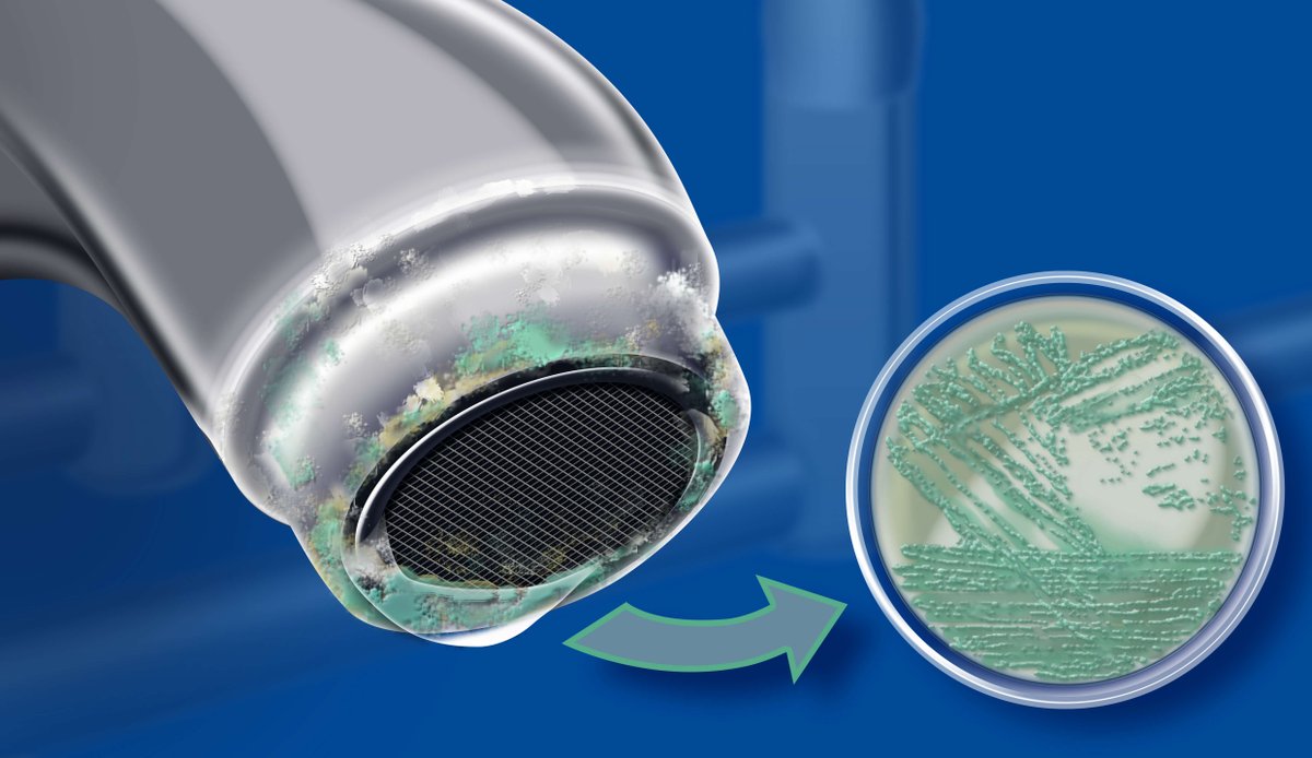 MedicalPall's tweet photo. #WaterHygieneMasterclass - June 13th, 2018, Coventry by #PallMedical and #ArmitageShanks - "Augmented care be #Pseudomonas aware" (Dr. Mark Garvey). Learn more: https://t.co/e8jUU1rpdj
#ProtectWhatMatters #WaterSafetyTeam #Hygiene #WaterbornePathogens https://t.co/vQZ9fWeLLn
