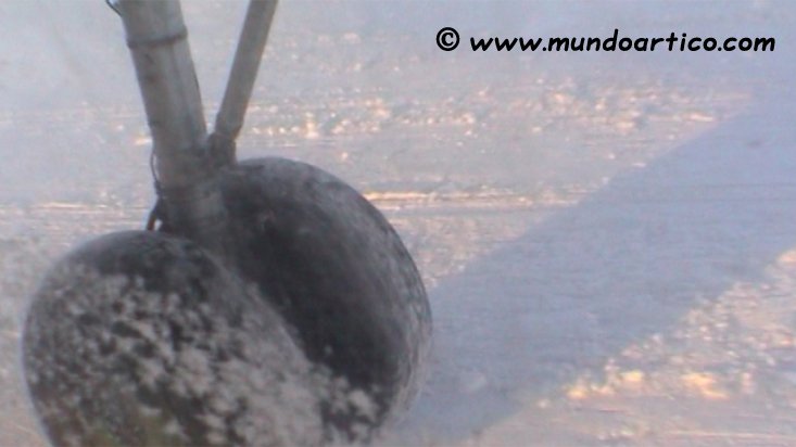 Vídeo del aterrizaje en la base Barneo durante la expedición al Polo Norte Geográfico en 2002. Puedes ver el vídeo aquí: goo.gl/dPpe8e
#aventura #Viajes #vacaciones