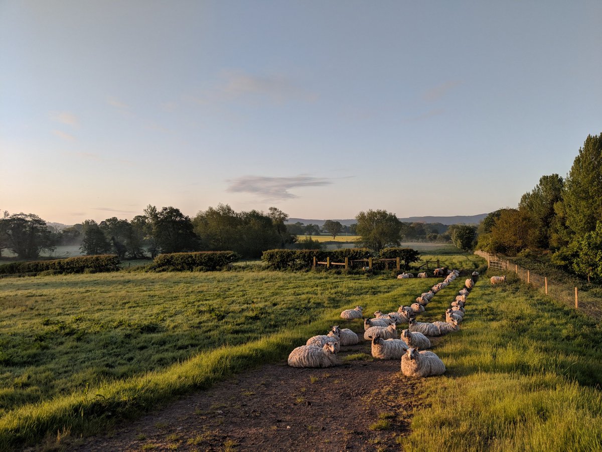 @BBCMidsWeather @BBCCountryfile Beautiful sunrise in Dorrington this morning