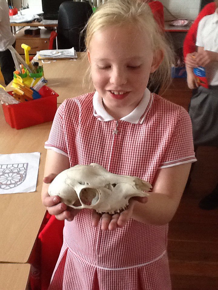 MerseyYear4's tweet photo. Made the classroom a bit more medieval for today's #mpatopic afternoon @MerseyPrimary https://t.co/57qiPuoqRM