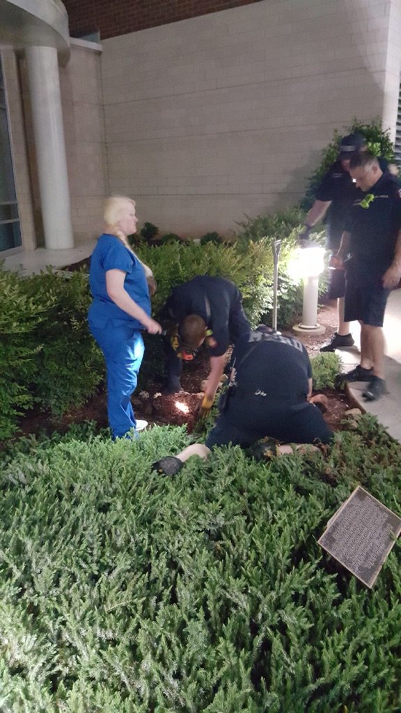 BoroFireRescue's tweet photo. Engine 4 made a special rescue last night. These sweet babies were stuck in a drain at Saint Thomas Rutherford. https://t.co/jds0AaAEpQ
