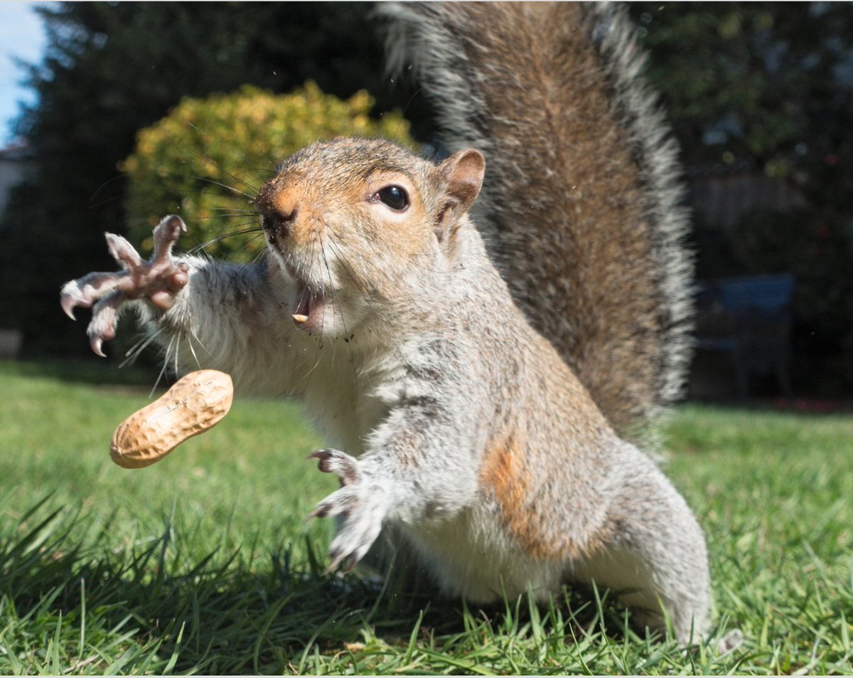 sebawita's tweet image. My slides from #WeAreDevs on Building a Robot Army with #Angular and #NativeScript
drive.google.com/open?id=1Nuo52…