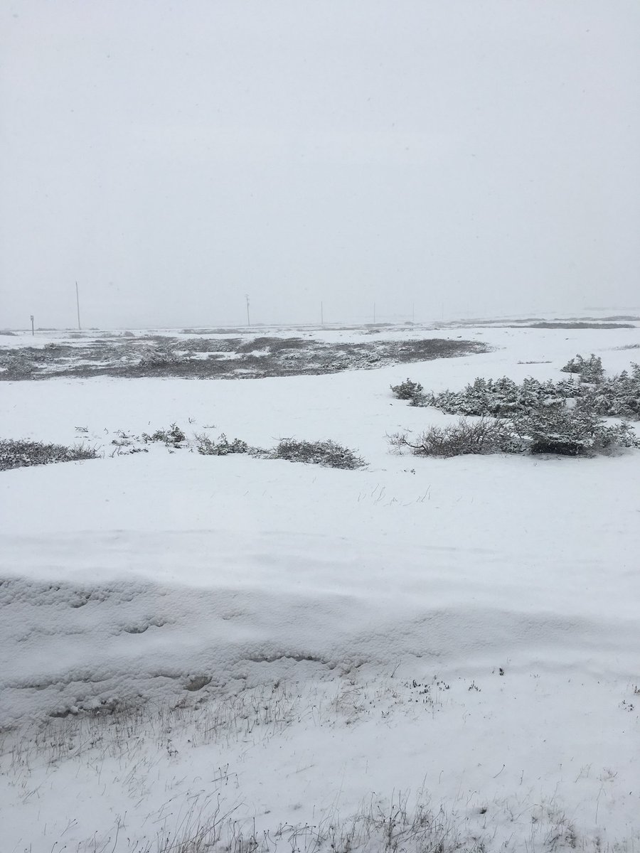 MsJacobs_NL's tweet photo. Good thing we have plenty of light and warmth inside for our garden. Outside? Not so much... #whatmonthisit? #snowing #indoorgarden #lgt #nlwx #snowsnowgoaway https://t.co/MKkGdPXMep
