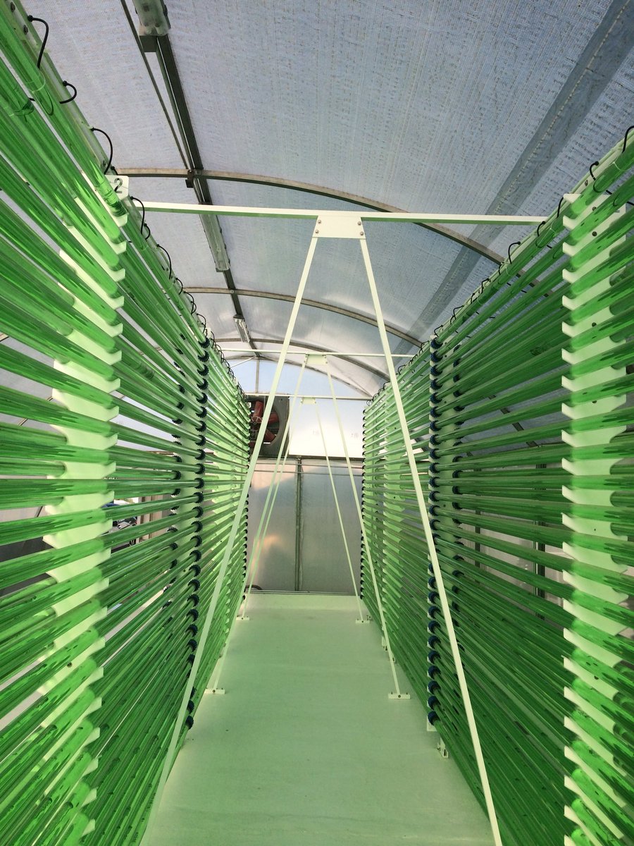 Mike_J_Allen's tweet photo. Big day ahead as Biorganix officially unveil the new #NABAMA #photobioreactor to the world! Everything is looking good so far! 🇬🇧 🇲🇽 https://t.co/PRGHEx7HXC