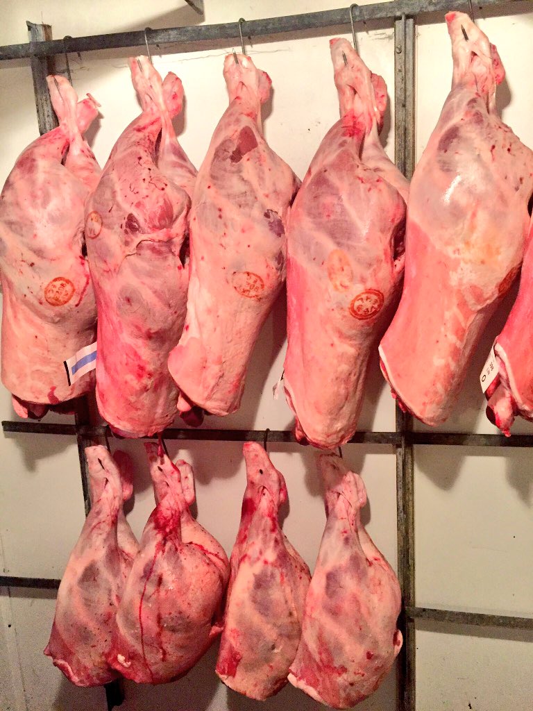 CooksleyButcher's tweet photo. At long last , we are now stocking some fantastic English Spring Lamb👀👏👏 https://t.co/4wW4o5NYnd