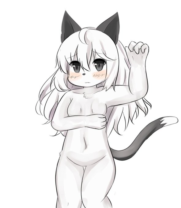 初登場!  做為一個獸控 也想要一隻可以拿來畫髒圖... 不是  也想要一隻可愛的小毛咪❤️       設定的話之後會在加的 總之先來個樣子 (其實圖裡是躺著的 不過懶的畫w 