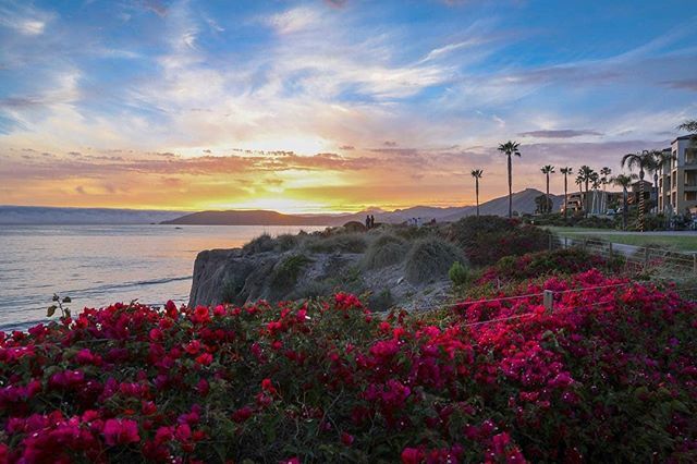 Pismo Beach tweet media