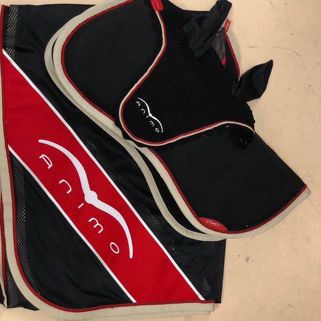 SplitRockJumpingTour tweet media