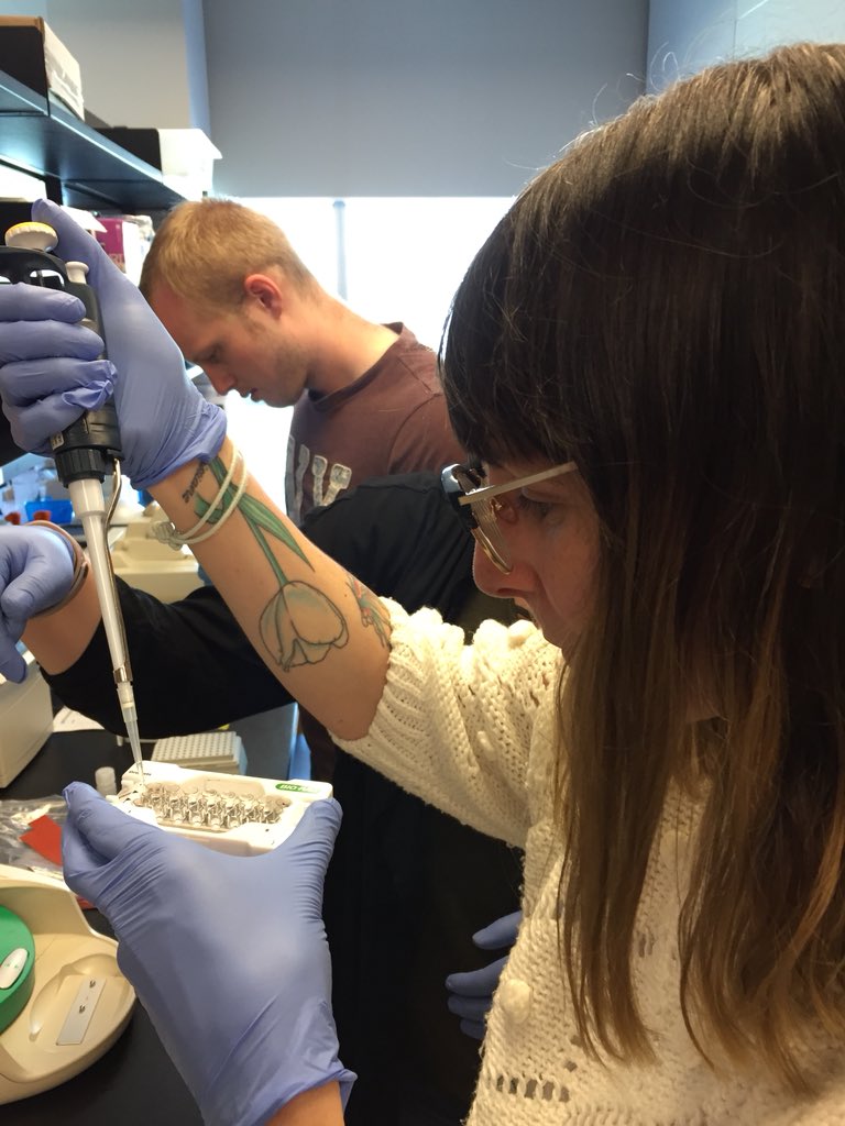 Day 2: MVP pippettor <a href="/zofia_e_taranu/">Zofia E Taranu</a> preparing the Lake Carlos samples for ddPCR. This will give us preliminary data on how much we need to dilute the extracted DNA for further analyses