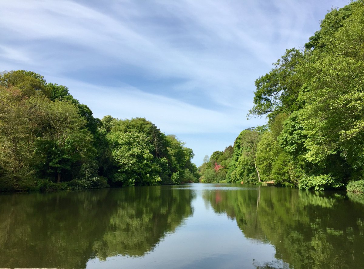 Gyrnfishery's tweet photo. The lakes are looking stunning today with all the trees in colour, and the sun shining #carp #fishing #wales #Gyrn https://t.co/jSAuJTBBiB