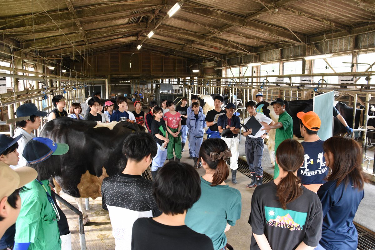 宇都宮大学農学部附属農場 U U Farm A Twitter 動物分野では 長尾先生と大学院生の指導で ウシの健康診断と臨床検査 に関する実習を行いました 健康に育てられたウシの生乳を使った宇大オリジナル牛乳 純牧 明日から販売開始です Uufarm 宇都宮大学 宇都宮大学農学部附属農場 U U Farm A Twitter 動物分野では 長尾先生と大学院生の指導で ウシの健康診断と臨床検査 に関する実習を行いました 健康に育てられたウシの生乳を使った宇大オリジナル牛乳 純牧 明日から販売開始です Uufarm 宇都宮大学
