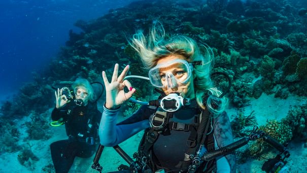 jasonsentell's tweet photo. 5 Budget Destinations Where You Can Learn to Scuba Dive https://t.co/5IA1itLyHi https://t.co/zwSAtCSZtA
