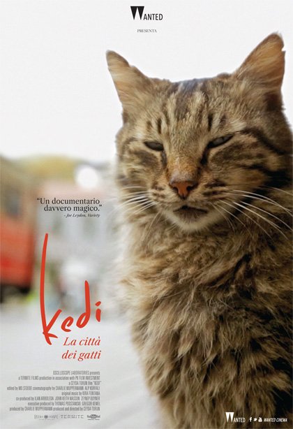 Kedi - La Città dei Gatti, il trailer italiano, una dichiarazione d'amore della regista turca Ceyda Torun ai gatti della sua Istanbul. 🐈 mymovies.it/film/2016/kedi/