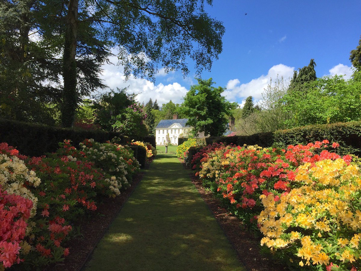 CharityTBF's tweet photo. We're really looking forward to serving tea, coffee and cakes on Sunday at Stody Lodge Gardens. Open 1pm - 5pm, we hope to see you there!
More information: https://t.co/nzu3L6MC6z Please RT. #norfolk #event #charity https://t.co/0TsaiU5Yqx