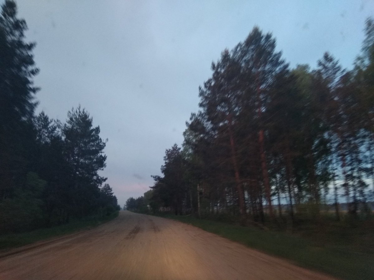 Утро за городом всегда доброе
#поисковыерассветы