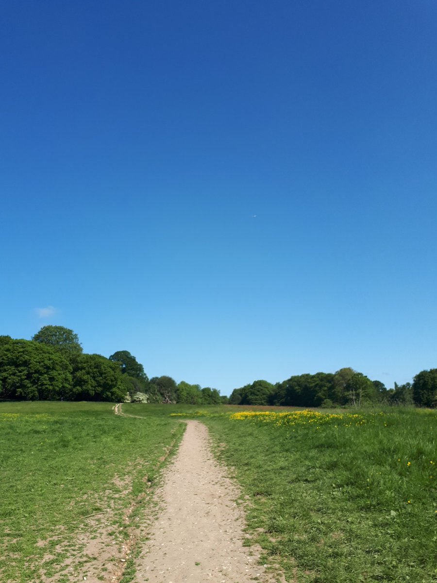 Was planning on giving the stairmaster a beasting today but with weather like this, outdoor cardio was the only option😍 #cardiovascular #workoutmotivation #fitnesslifestyle #lovelondon #FitnessFreak #outdoors
