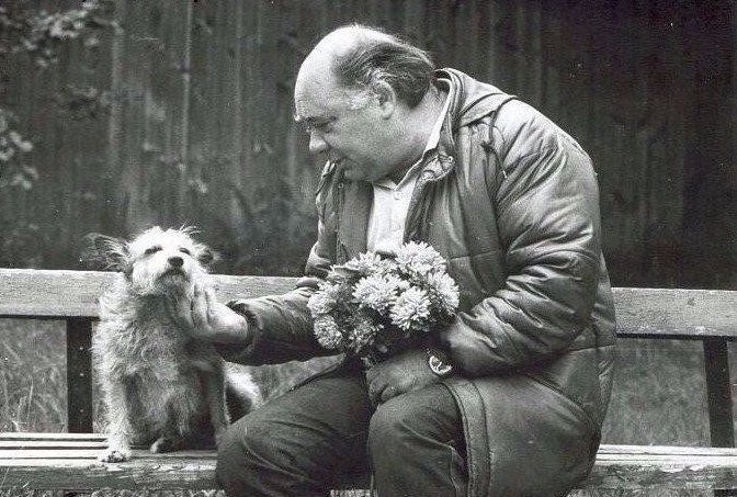 ianrom13's tweet image. 