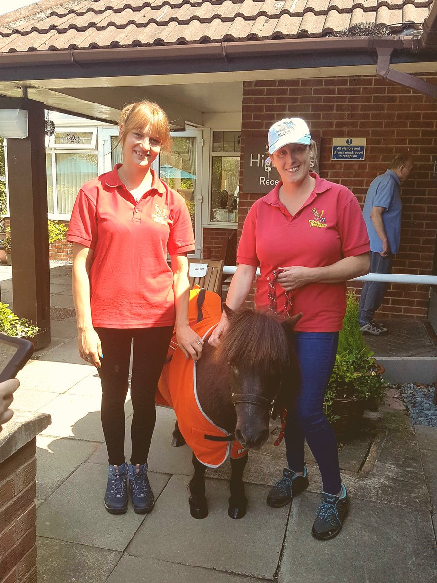 Clip Clop Pony Rides tweet media