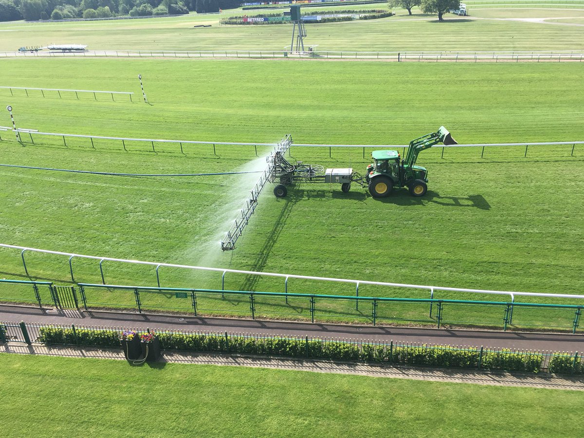 Perfect way to water your lawn!