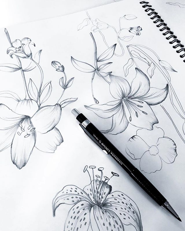 patternbank's tweet photo. https://t.co/WK7Jd5MFJo
・・・
🌟 sketch 🌟#botanicalflowers #original #exclusive #design #Sketching #flowers 💕😊 #design #linedrawing #printdevelopment #inspiration #lily ✏️💖 #newonpatternbank #patternbank .
.
.
.
.
.
.
.
.
#floral #illustration #prints #artist #art https://t.co/0WKVZ1diOV