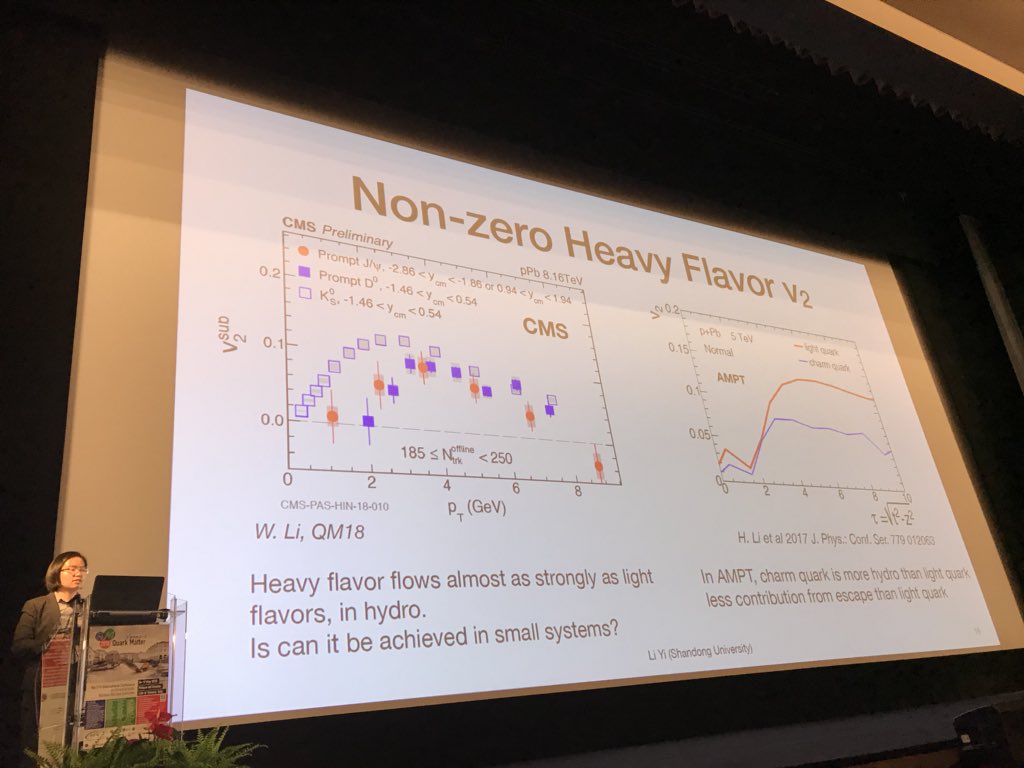The puzzling finite J/Psi flow measurements in pPb discussed by Li Yi at <a href="/QM2018/">Quark Matter 2018</a>. #openquestions #Quarkonium <a href="/Shandongdaxue/">Shandong University</a> <a href="/ShandongUniv/">zhangh</a> <a href="/CMSexperiment/">CMS Experiment CERN</a>