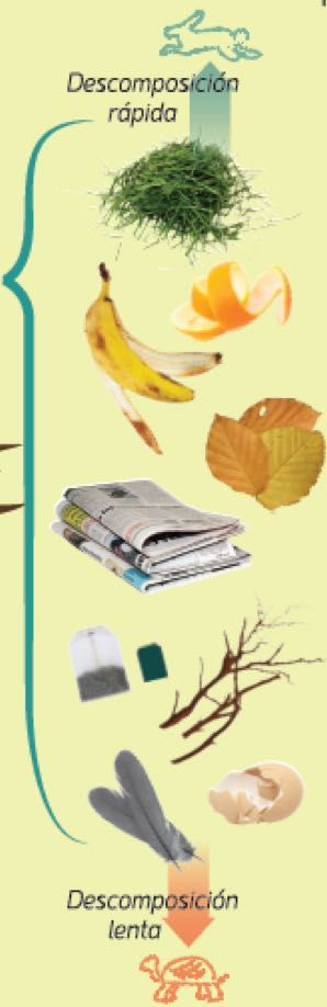 Ola composteir@s!!! Como van esas primeiras horas do día das #letrasgalegas?? 
Moit@s preguntades o motivo polo que algúns materiais desaparecen antes da composteira... é pola súa descomposición.
Deixamosvos esta imaxe que mostra a velocidade da descomposición segundo o material