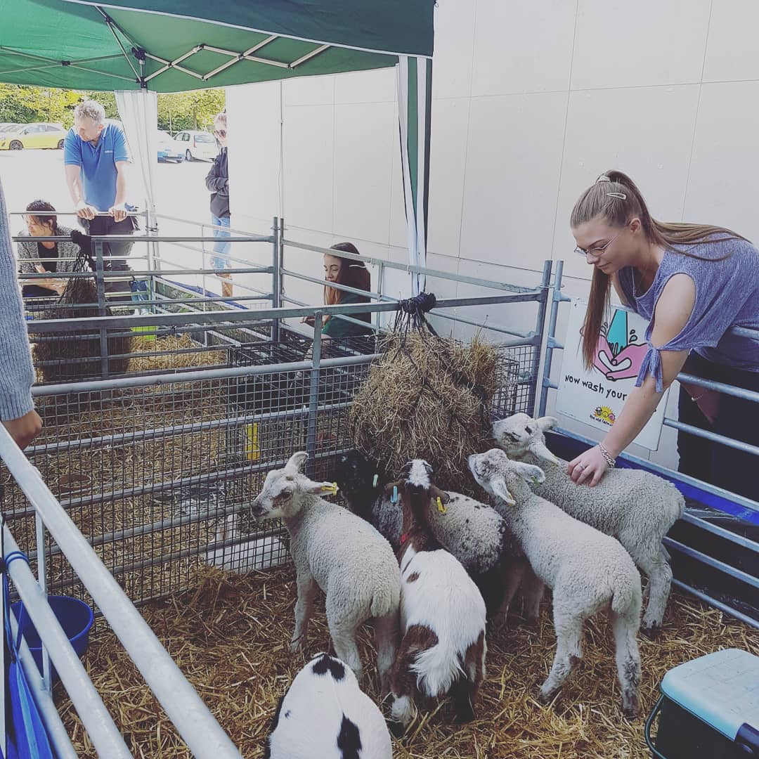 Come to Oxtalls campus today, for Anti-stress week! Walk on bobblewrap, say hi to the farm animals, support a good cause and let your stress fade away #antistress #cancerresearchuk <a href="/uniofglos/">University of Gloucestershire</a>