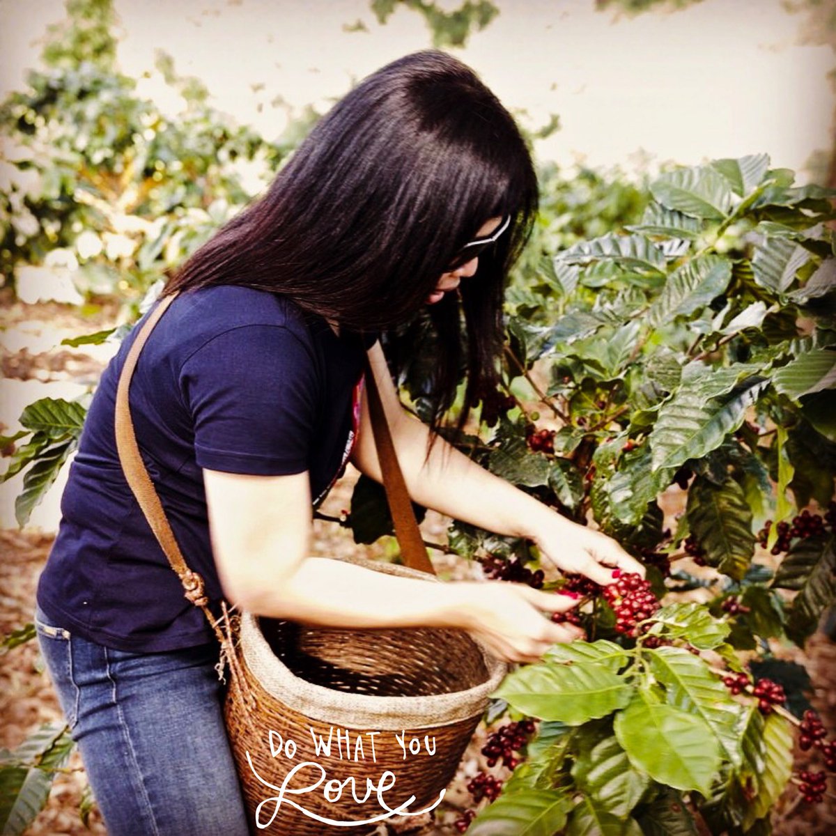 mimsimplythai's tweet photo. Whatever you do do it with passion!
.
#doyourbest #buxtonroastery #doitwithpassion #coffeeimporter #thaicoffee #singleorigin #peangthaicoffee #phahee #specialtycoffee #directtrade #entrepreneur #entrepreneurmindset #coffholic #womaninbusiness #hardworking #businesswoman https://t.co/OC7csja9FK