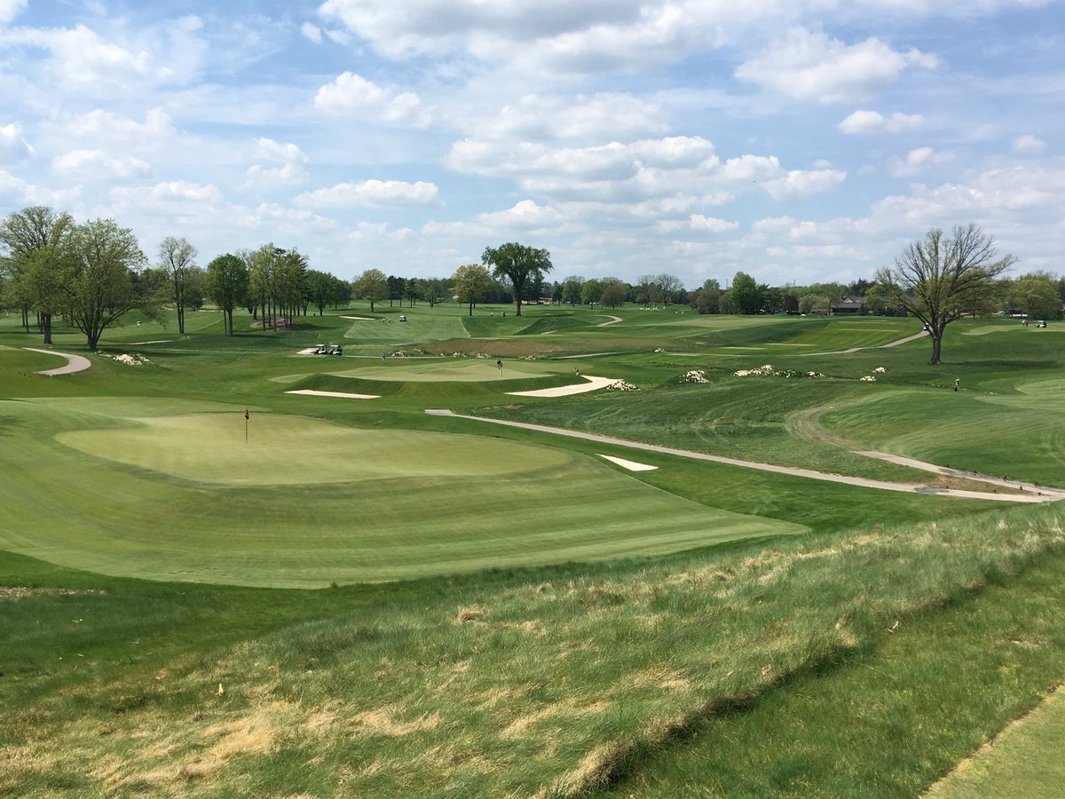 Timothy Gallant tweet media