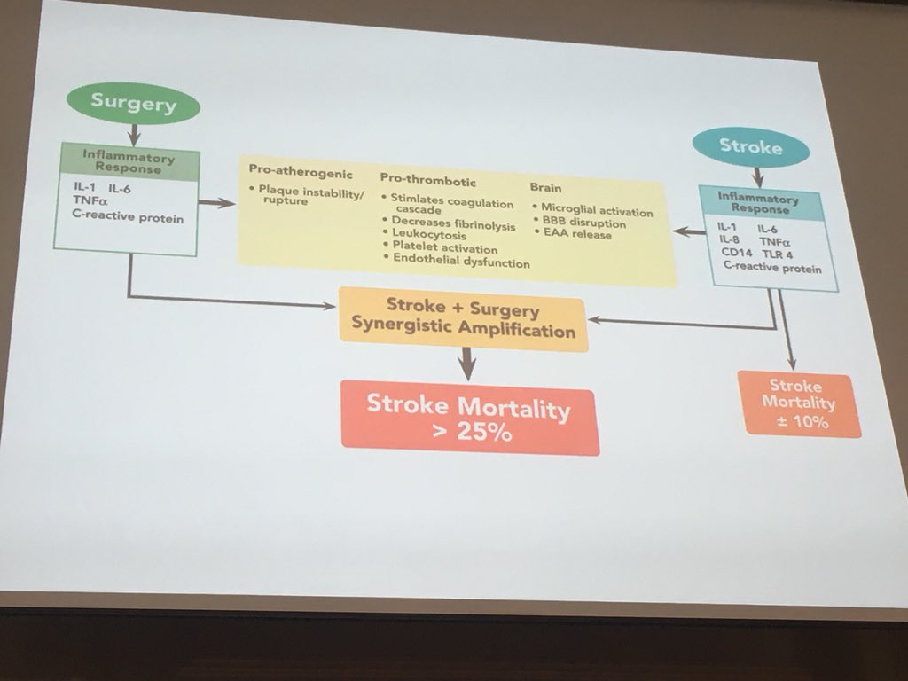YoungGeris's tweet photo. If you have a stroke in a surgical context, mortality is significantly higher:
>25% !!!!
Lots of work to be done here.
@GeriSoc @AgeAnaesthesia #academicgeris #pops #bgsconf #BGSAAA #AAABGS https://t.co/bn1MvtM6yj