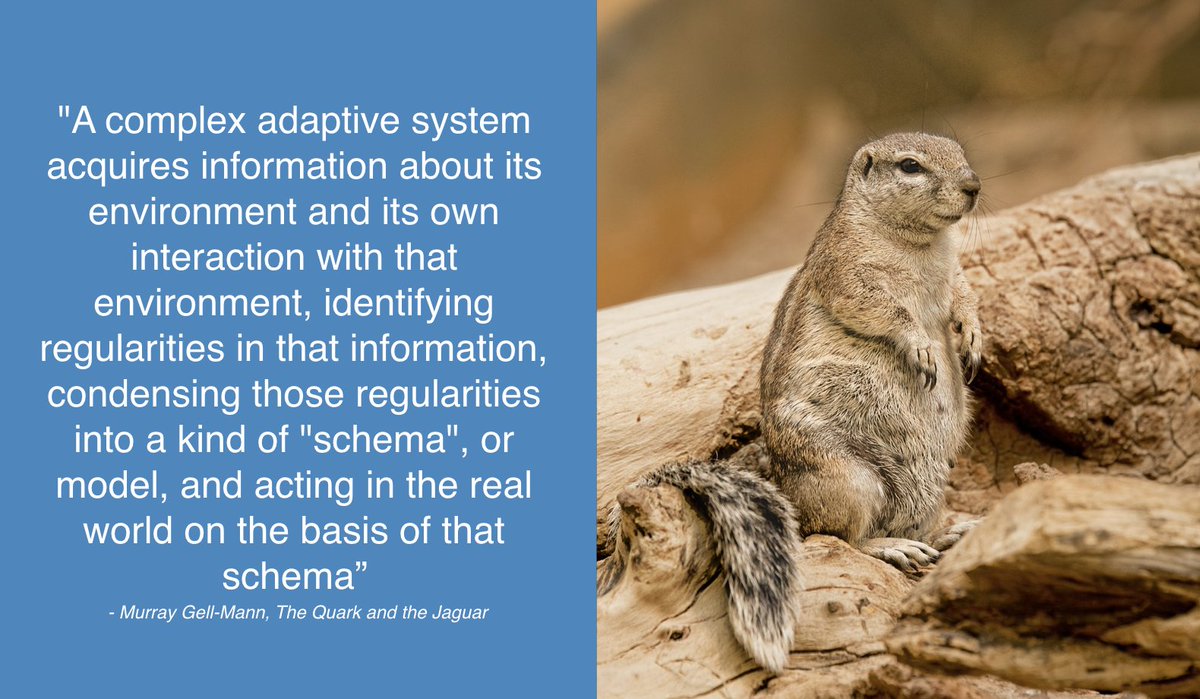 Sys_innovation's tweet photo. #AdaptiveSystemsCL https://t.co/lAfz2rVfYa