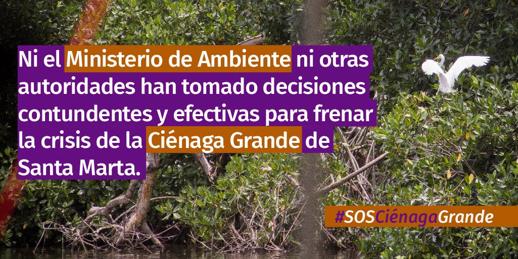 ¿Por qué diablos <a href="/MinAmbienteCo/">MinAmbiente Colombia</a> y otras entidades del Estado han sido tan indiferentes a los clamores de los pescadores y otros ciudadanos frente al desastre del principal humedal costero de Colombia? #SOSCienagaGrande
