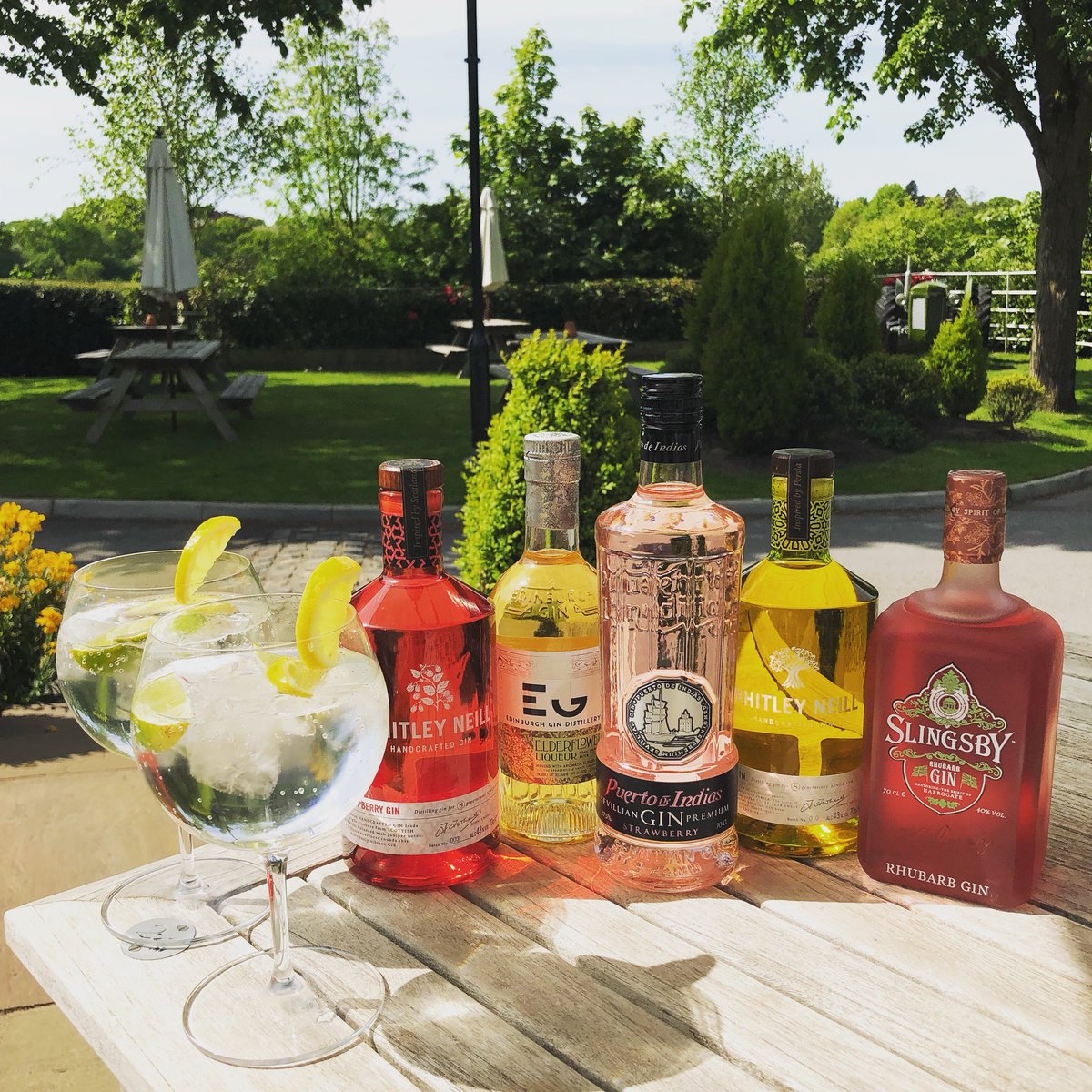 Introducing our new GINS OF THE MONTH! 

We’ve gone fruity this month, with raspberry, elderflower, strawberry, quince and rhubarb!

Perfect for these gorgeous Summer days!! 

Cheers 🍸🍹🍸🍹