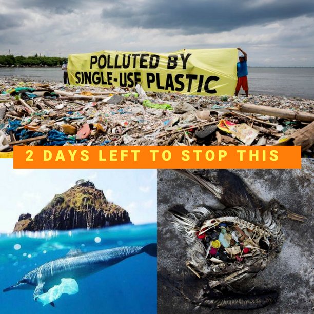 Marine Conservation Society tweet media