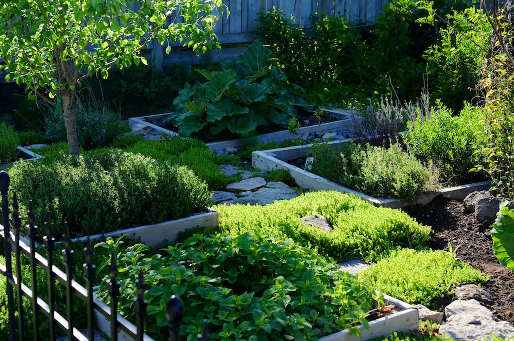 Ground Cover Cover-Up caslworks.com/2015/06/24/gro… via <a href="/CASLworks/">CASLworks</a> #gardens