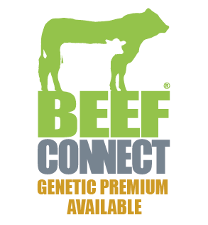 BeefConnect's tweet photo. **NEW Calf Genetic Premium Available**

Recognising the value of #BeefGenetics through @BladeFarming supply chain, ABP now offer a bonus to members of the BeefConnect® supplier group in the form of a new calf genetic premium.

#BeefConnect #UnlockingGeneticPotential https://t.co/YFzFAslAoL