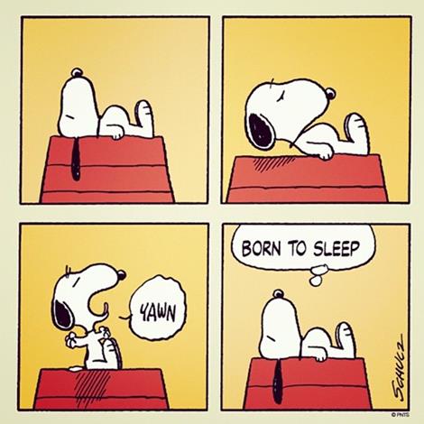 Claudia_Zahn's tweet photo. @Lia_is_on @Gedanken_Zeit ... Mittagsschlaf...
Jetzt.
#BornToSleep https://t.co/e1YVAbS1gd