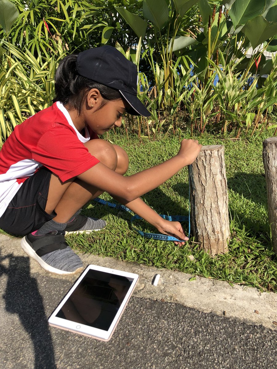 bgrundy's tweet image. Getting outdoors for some 3D shapes and measurement on #OutdoorClasroomDay. Plus, check out that moth!!!  #CISprimary #pypmath #outdoored