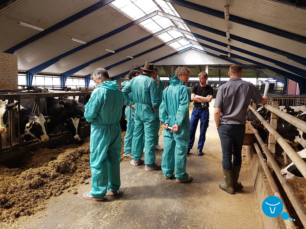 VikingGenetics's tweet photo. Last week in Denmark we had a great pleasure to receive guests from Spain. They visited many herds in Denmark. Read more and see pictures: https://t.co/up4D7VlgKC #vikinggenetics #globalgenetics https://t.co/6mly2MLANz