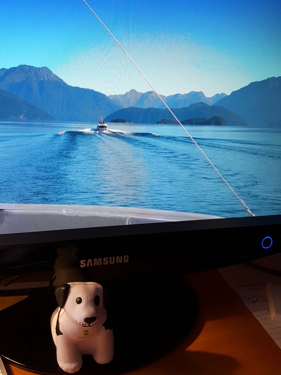 cormachall's tweet photo. @basepointdogs here he is in front of one of my screensavers on my desk helping me work! https://t.co/YuGNJ19QGa