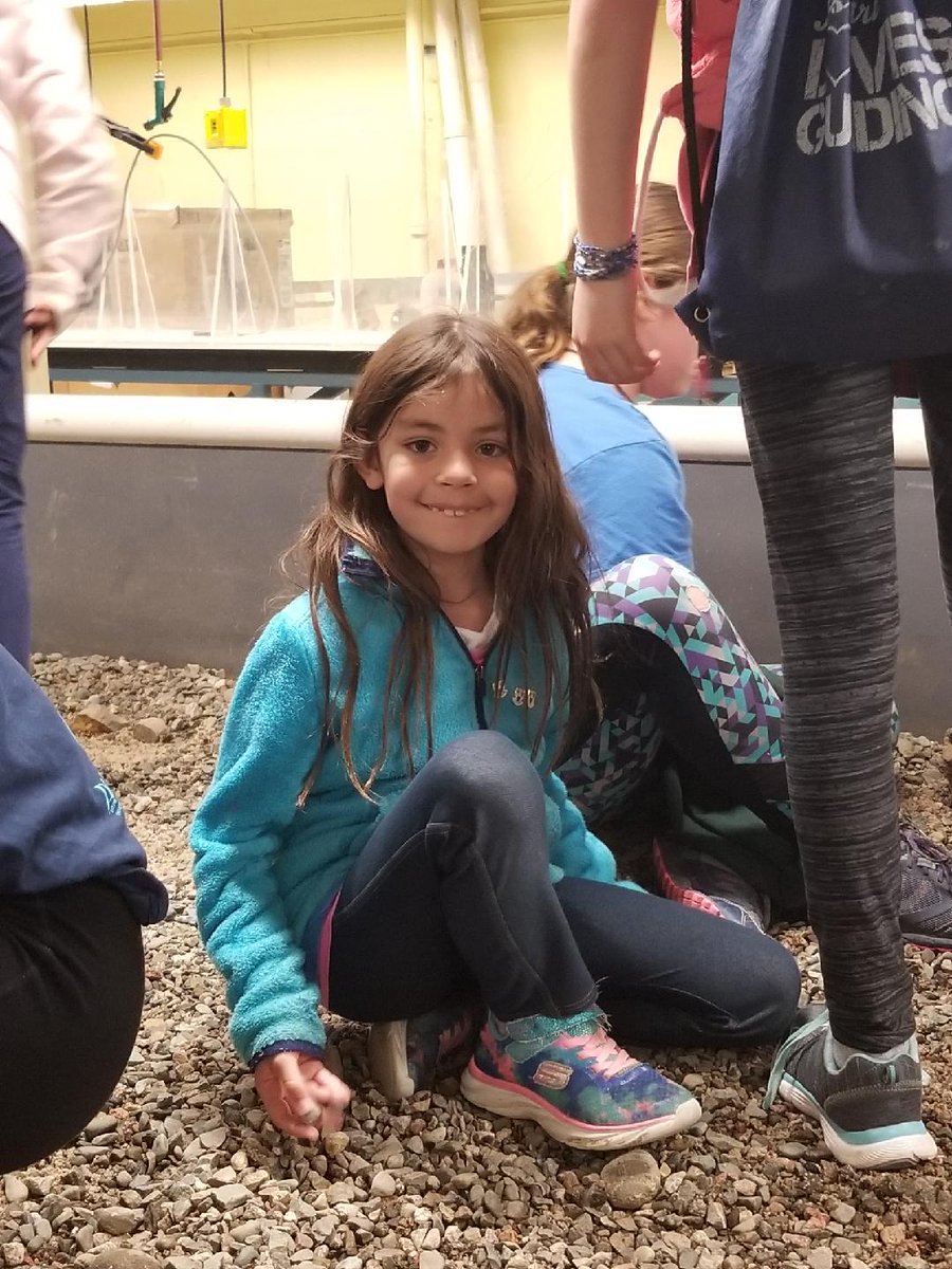 <a href="/NBPEIGirlGuides/">NB PEI Girl Guides</a> building a fish habitat at #AllSySTEMsGo...